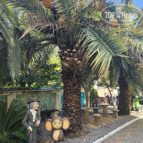 фото из отзыва ID 2651199