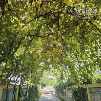 фото из отзыва ID 2651199