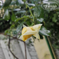 фото из отзыва ID 2651199