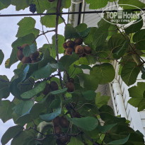 фото из отзыва ID 2651199