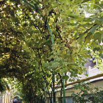 фото из отзыва ID 2651199