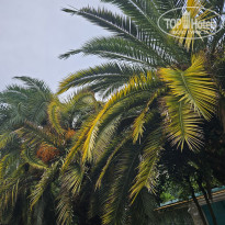 фото из отзыва ID 2651199