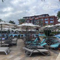 фото из отзыва ID 2651236