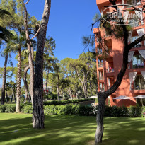 фото из отзыва ID 2651236