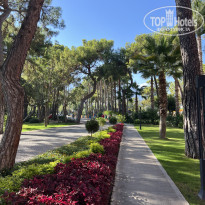 фото из отзыва ID 2651236