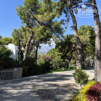 фото из отзыва ID 2651236