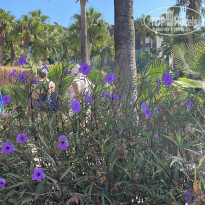 фото из отзыва ID 2651249