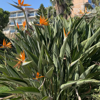 фото из отзыва ID 2651249