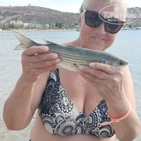 фото из отзыва ID 2651259