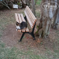 фото из отзыва ID 2650877