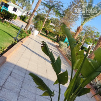 фото из отзыва ID 2651333