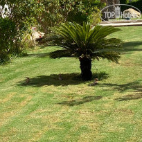 фото из отзыва ID 2651333