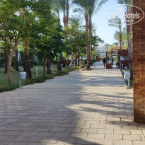 фото из отзыва ID 2651333