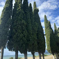 фото из отзыва ID 2651343