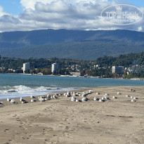 фото из отзыва ID 2651343