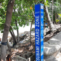 фото из отзыва ID 2651353