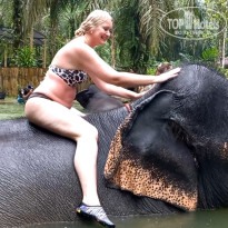 фото из отзыва ID 2651353