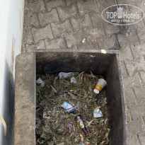 фото из отзыва ID 2651415