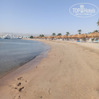 фото из отзыва ID 2651441