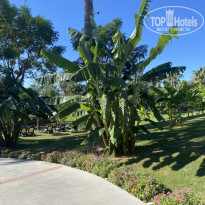 фото из отзыва ID 2651497