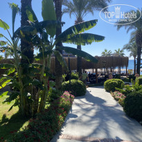 фото из отзыва ID 2651497