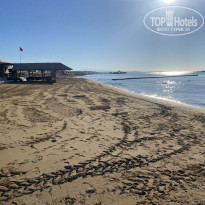 фото из отзыва ID 2651497