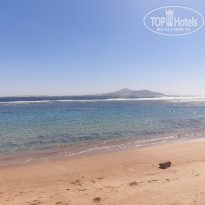 фото из отзыва ID 2651234