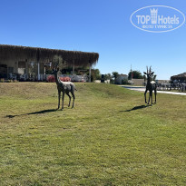 фото из отзыва ID 2651508