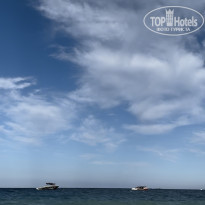 фото из отзыва ID 2651535