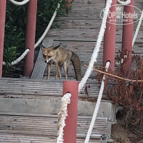 фото из отзыва ID 2651507