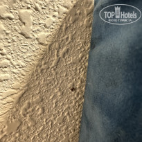 фото из отзыва ID 2651540