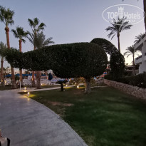 фото из отзыва ID 2651572