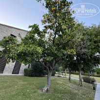 фото из отзыва ID 2651631