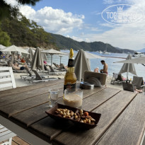 фото из отзыва ID 2651631