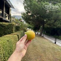 фото из отзыва ID 2651631