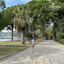 фото из отзыва ID 2651631