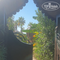 фото из отзыва ID 2651674