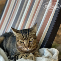 фото из отзыва ID 2651675