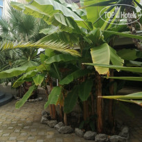 фото из отзыва ID 2651711