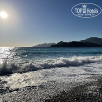 фото из отзыва ID 2651718