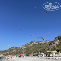 фото из отзыва ID 2651718