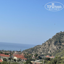 фото из отзыва ID 2651718