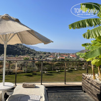 фото из отзыва ID 2651718