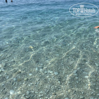 фото из отзыва ID 2651718