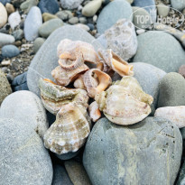 фото из отзыва ID 2651756