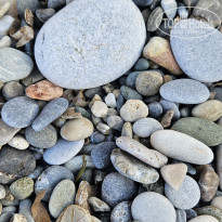 фото из отзыва ID 2651665
