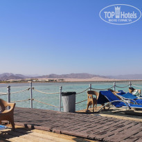 фото из отзыва ID 2651821