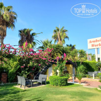 фото из отзыва ID 2651826