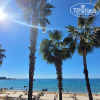 фото из отзыва ID 2651826