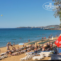 фото из отзыва ID 2651826